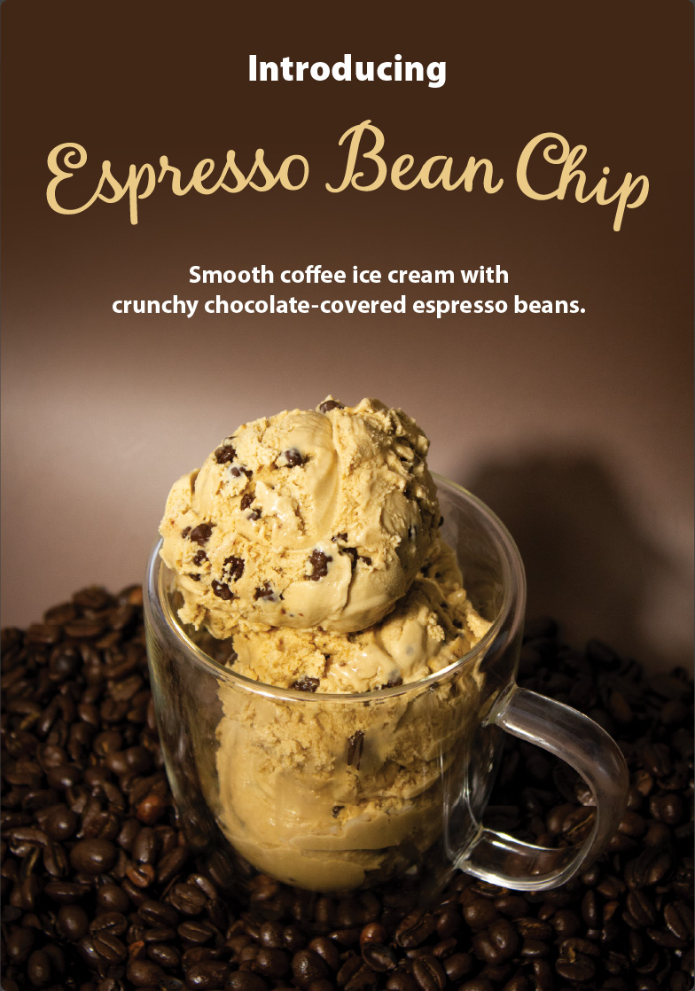 Espresso Bean Chip 14% super-premium ice cream